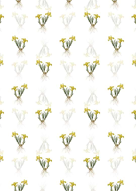 Floral Sand Iris Pattern