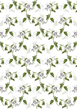 Floral Bittersweet Pattern