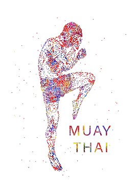 Man muay thai boxing