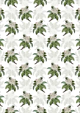 Floral Shipova Pattern