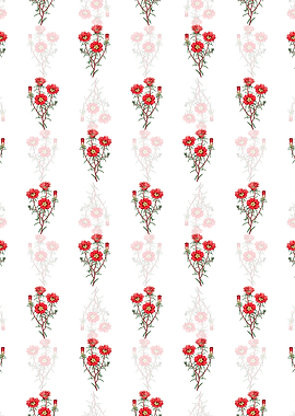 Portulaca Splendens Branch