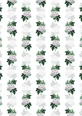 Wrays Hibiscus Flower