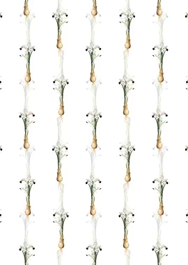 White Iris Persica Pattern