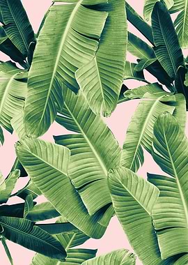 Banana Leaves Jungle 2