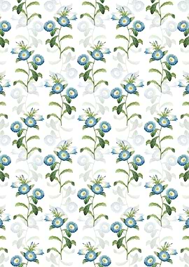 Field Bindweed Pattern
