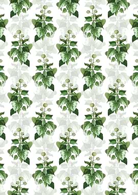 Floral Common Ivy Pattern