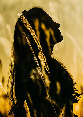 Silhouetted in Nature