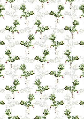 Floral Lingonberry Pattern