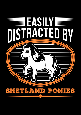 Shetland Pony Shetty