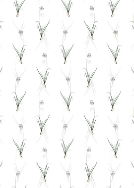 Nodding Onion Pattern