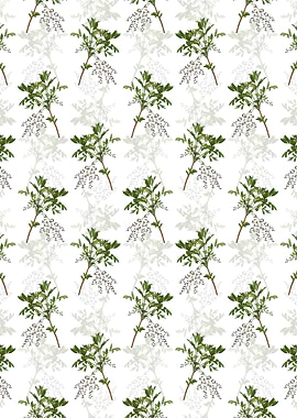 Shrub Yellowroot Pattern