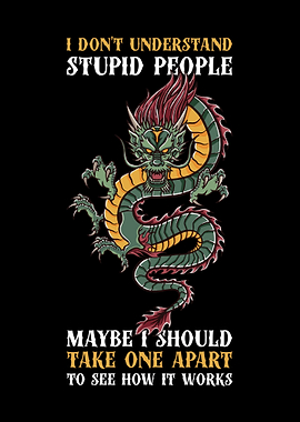 I Dont Understand Stupid