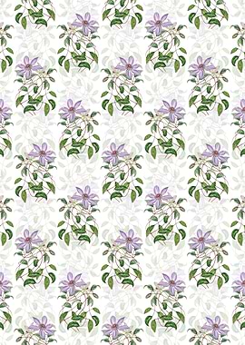 Violet Clematis Flower