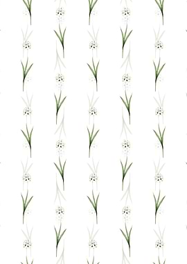 Ixia Maculata Pattern