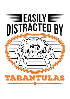 Tarantula Spider