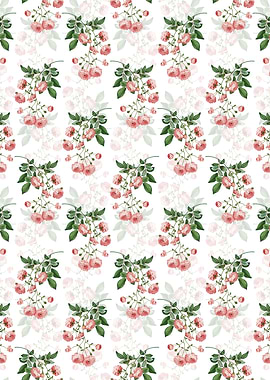 Pink Rambler Roses Pattern