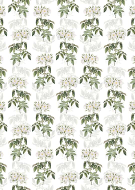 Floral Musk Rose Pattern