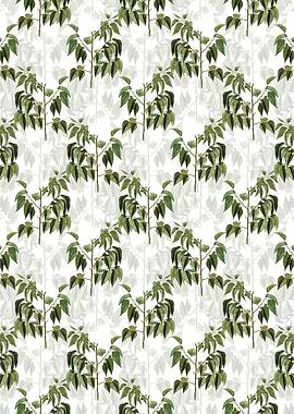 Common Hackberry Pattern