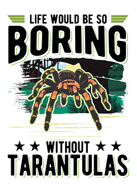 Tarantula Spider