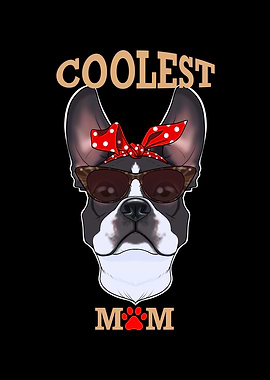 Dog Mom I Boston Terrier
