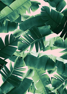 Banana Leaves Summer 2