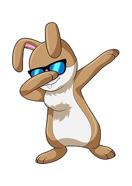 Rabbit Hip Hop Dance