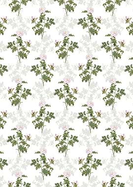 Pink Rosebush Pattern