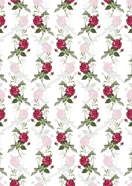 Blood Red Bengal Rose