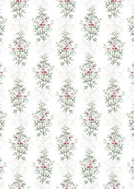 Boronia Pinnata Pattern