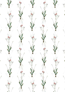 Gladiolus Junceus Pattern