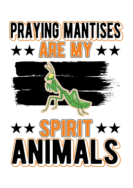 Praying Mantis