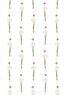 White Autumn Onion Pattern