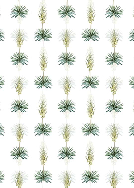 White Adams Needle Pattern