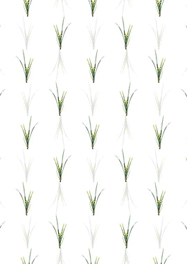 Floral Yellow Iris Pattern