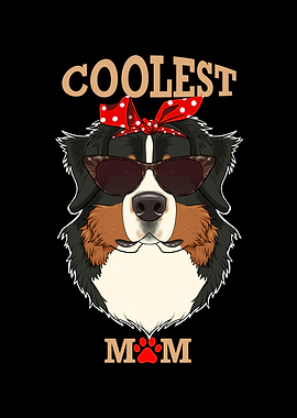 Mom I Bernese Mountain Dog
