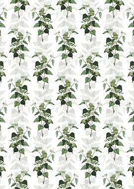 White Silver Birch Pattern