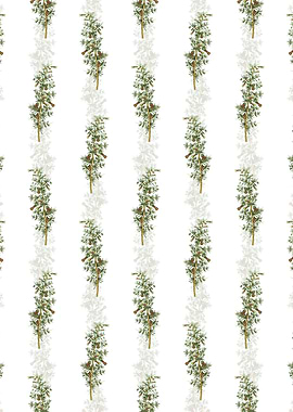 Kraal Honey Thorn Pattern