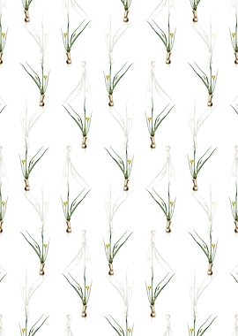 Floral Weevil wort Pattern