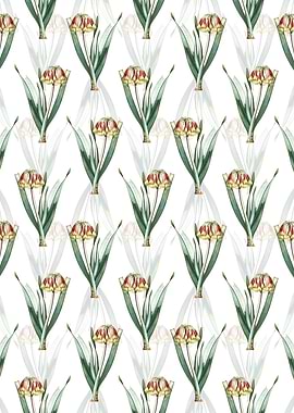 Floral Knysna Lily Pattern
