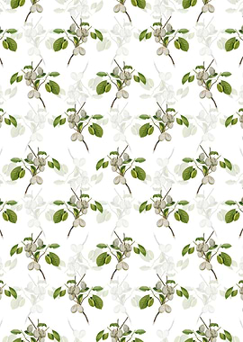 White Floral Plum Pattern