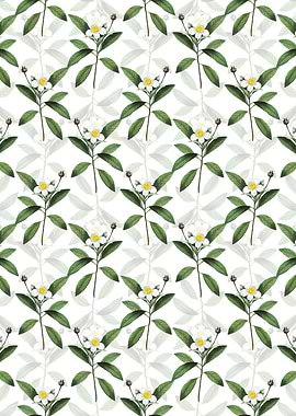 White Loblolly Bay Pattern