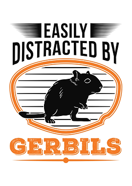 Gerbil Racing Rat