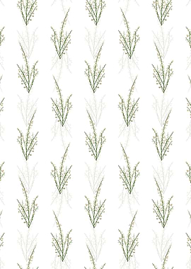 Floral White Broom Pattern