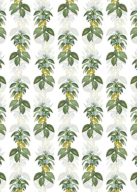 Floral Laurustinus Pattern