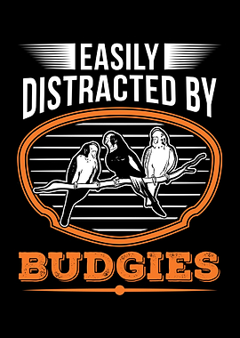 Bugdie Parakeet Cockatiel