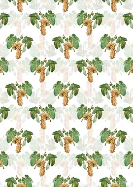Trebbiano Grapes Pattern
