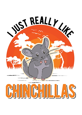 Chinchilla Lover