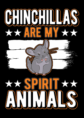 Chinchilla Lover