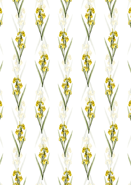 Floral Irises Pattern