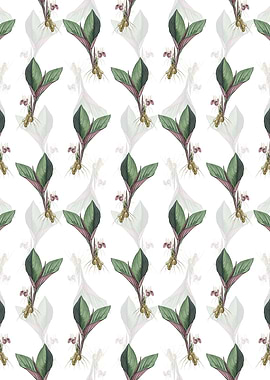 Koemferia Longa Pattern